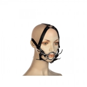 Кляпы, ошейники без питания