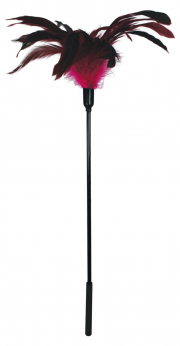 Бдсм и фетиш, розовый